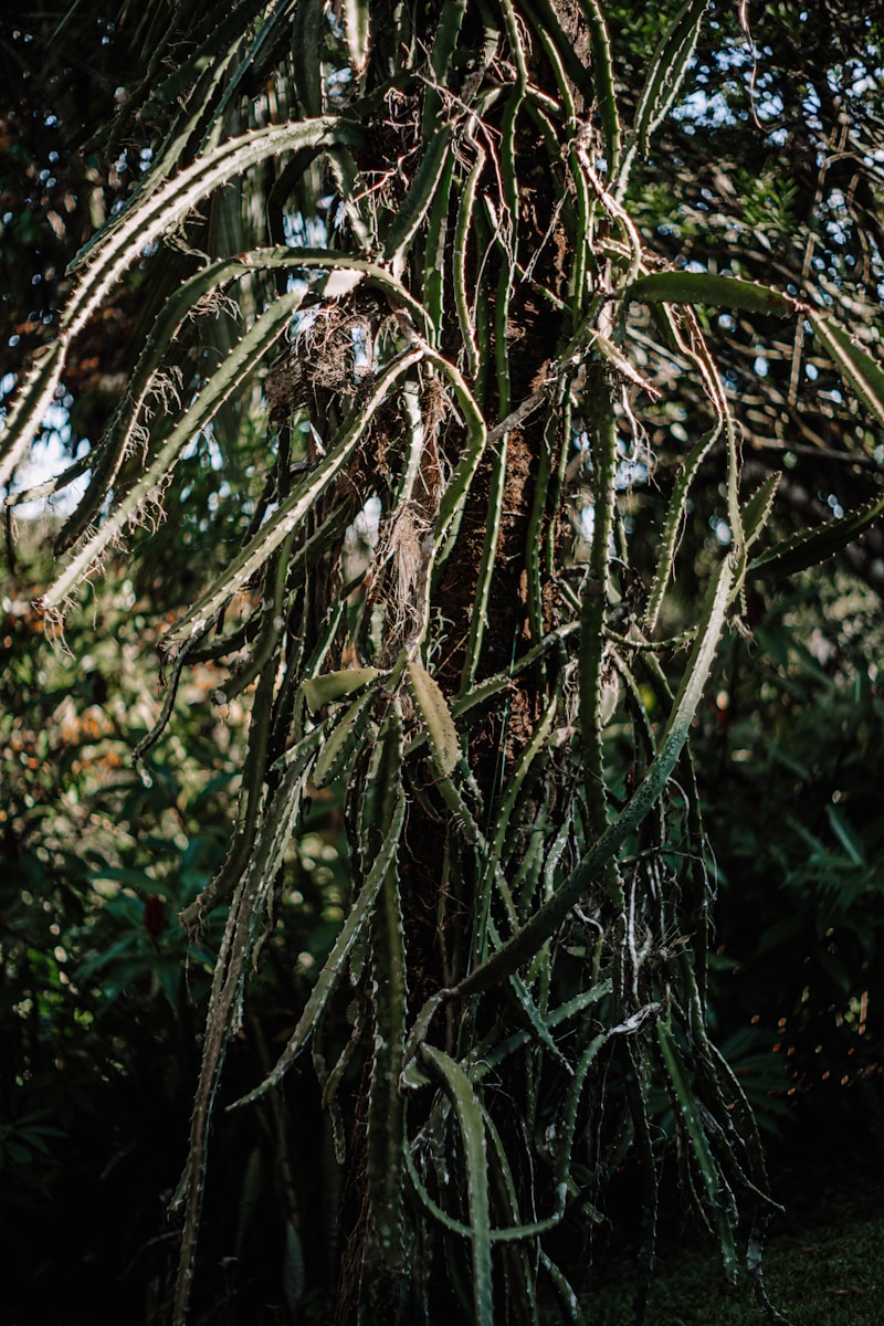 Dragon verzorgen voor smaak