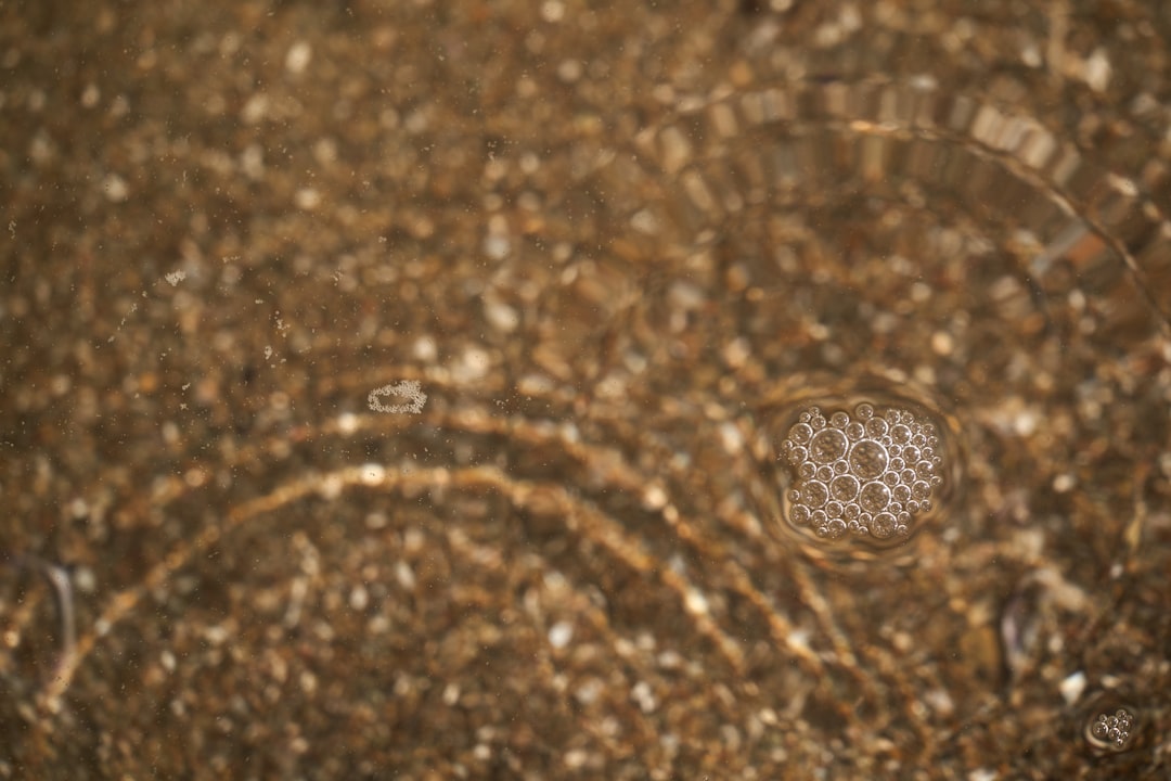 Klimop verzorgen als bodembedekker