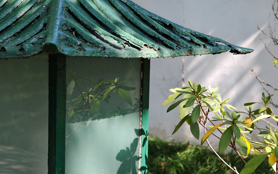 Azalea verzorgen binnenshuis en buiten