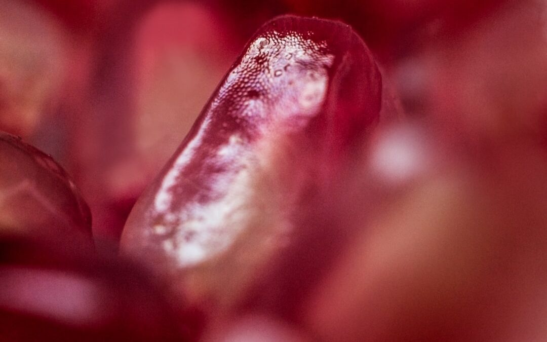 Passiebloem verzorgen als klimplant