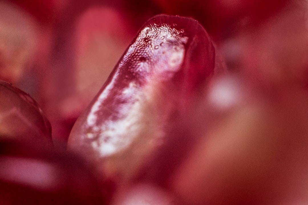 Passiebloem verzorgen als klimplant