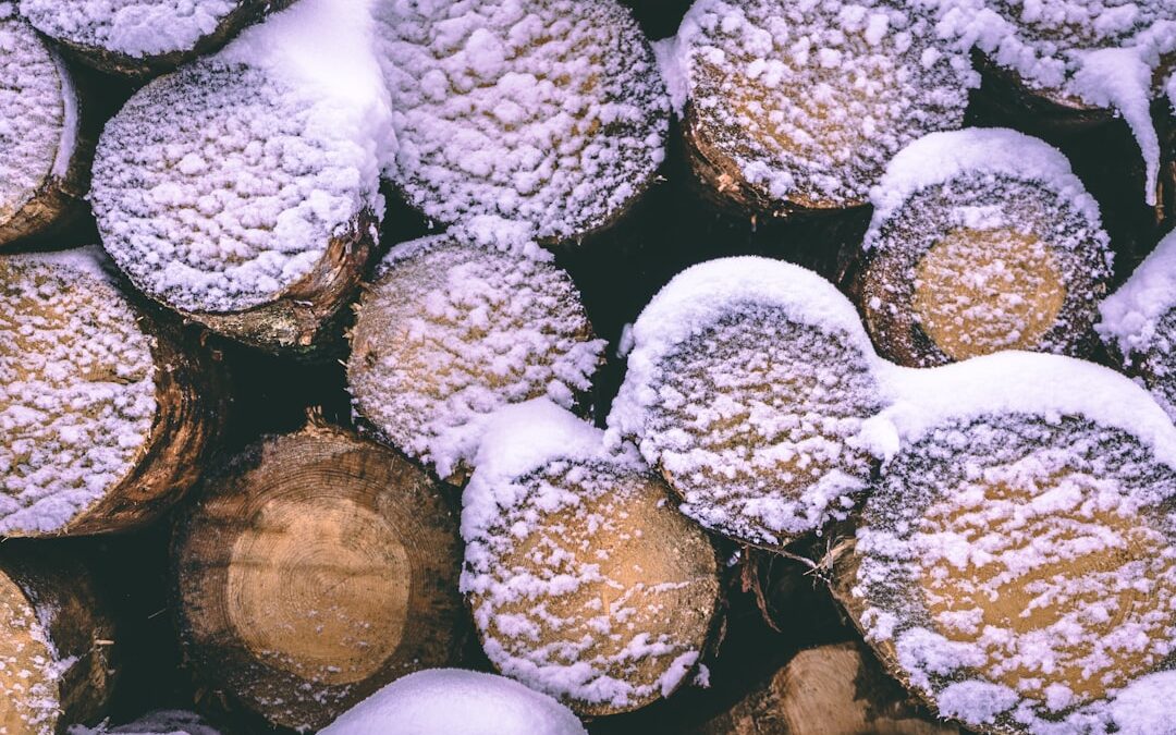 Schlumbergera verzorgen voor winterbloei