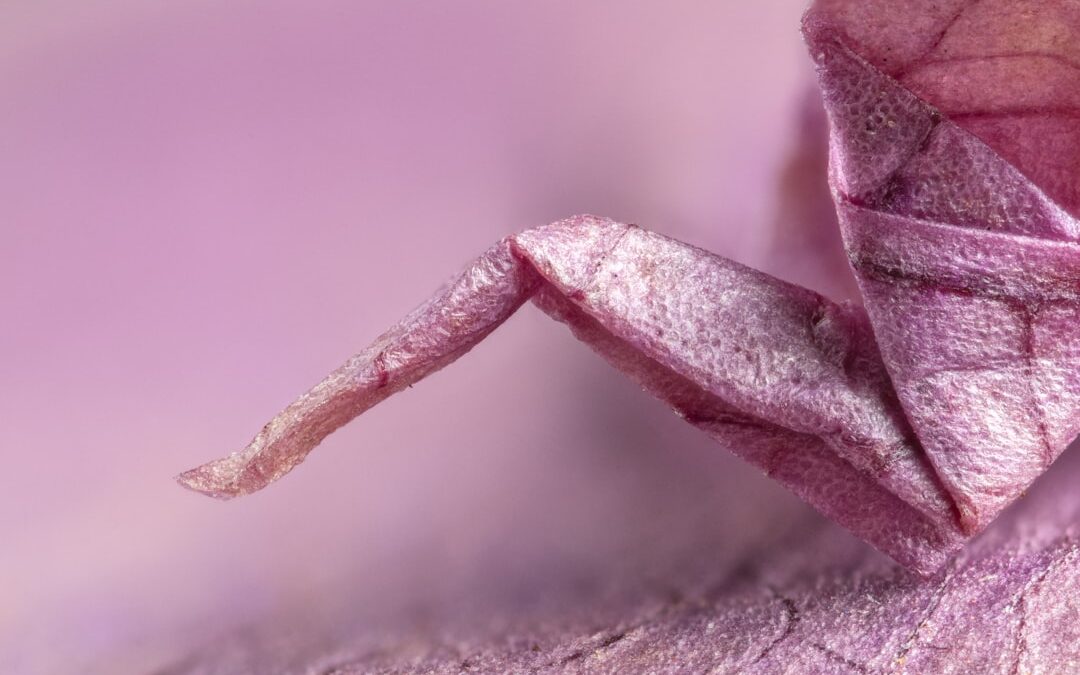 Hostaplant verzorgen zonder slakkenoverlast