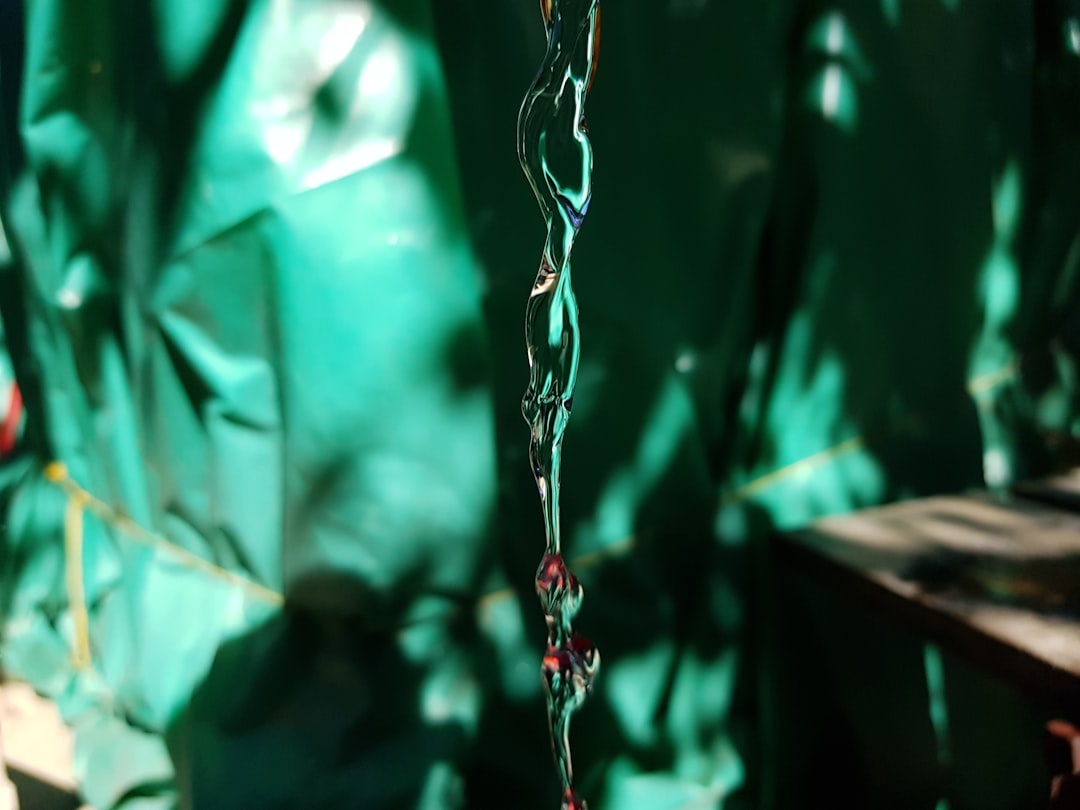 Agave verzorgen in kuip